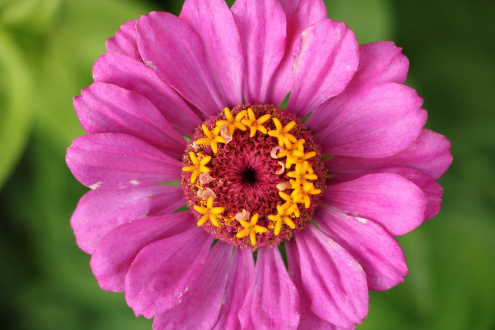 Photograph by Cengiz Yalcin