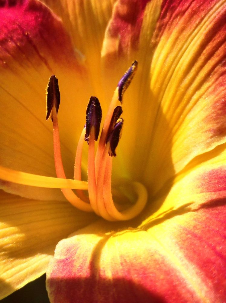 Photograph by Надежда Батракова