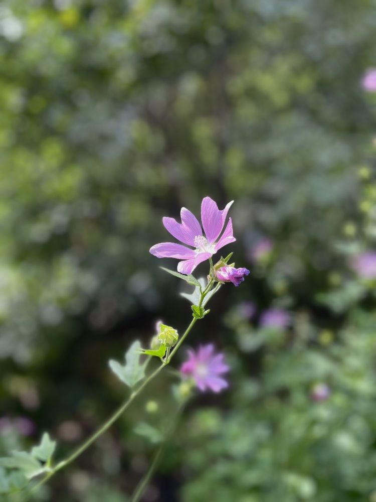 Photograph by Ольга Ручьева
