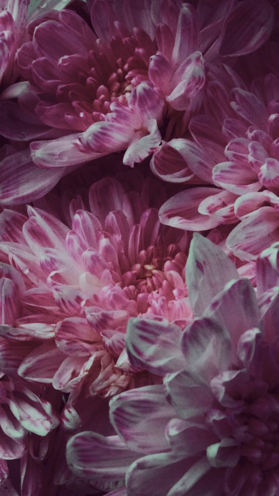 Photograph by Екатерина Иванова