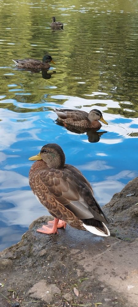 Photograph by Любовь Макарова