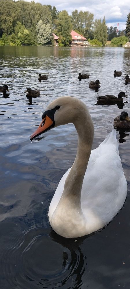 Photograph by Любовь Макарова