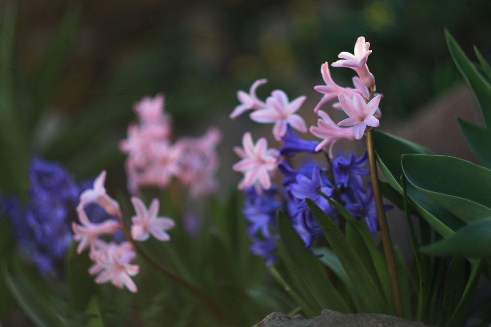 Photograph by Антон Иванов