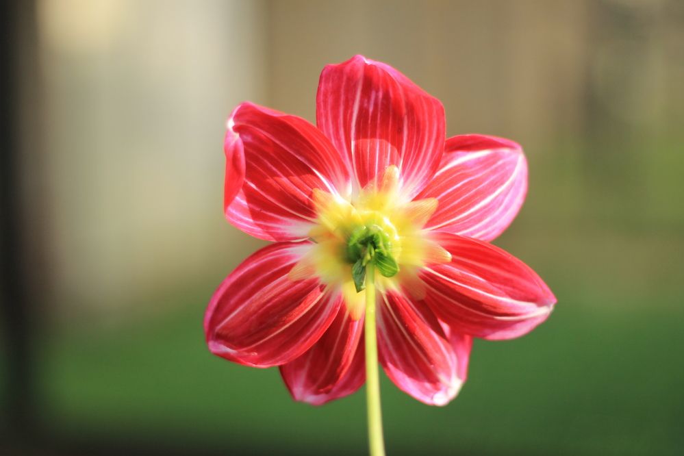 Photograph by Антон Иванов