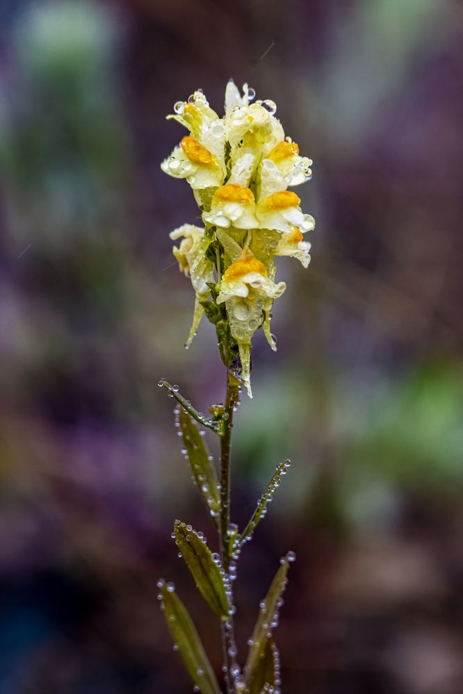 Photograph by Александр Шульга