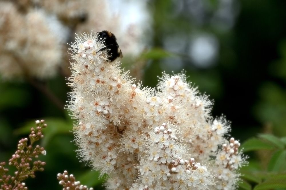 Photograph by Сергей Рябов