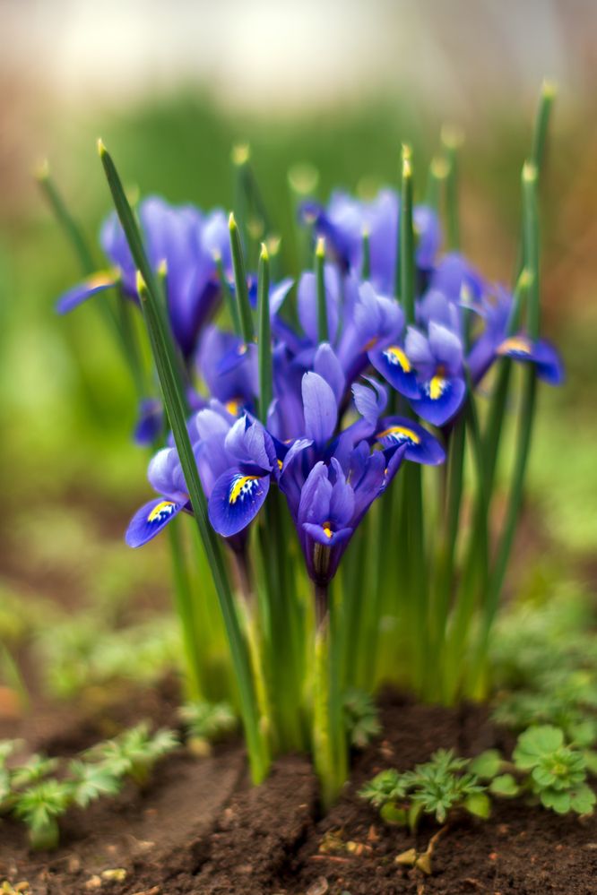 Photograph by Галина Григорьева