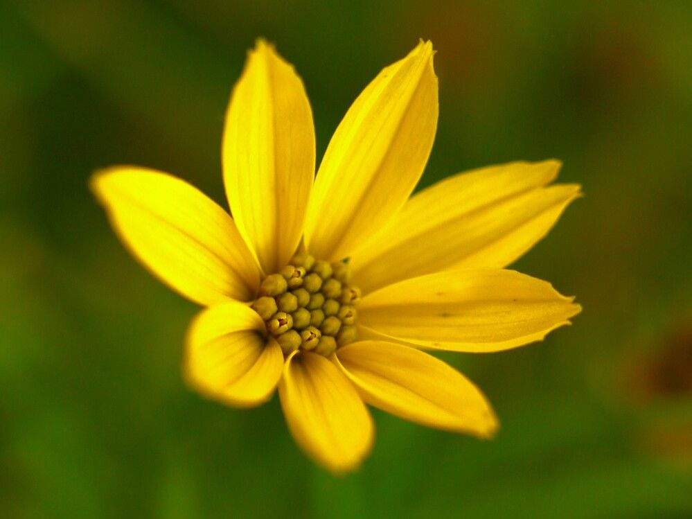 Photograph by Гагик Саркисян