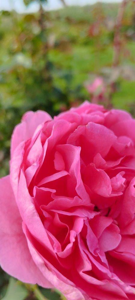 Photograph by Любовь Макарова