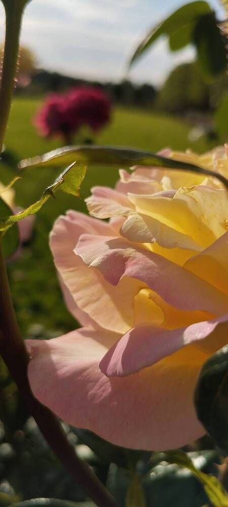 Photograph by Любовь Макарова