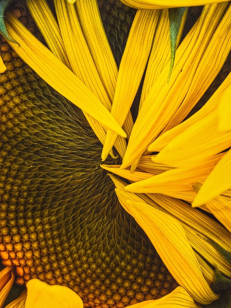 Неполноценный