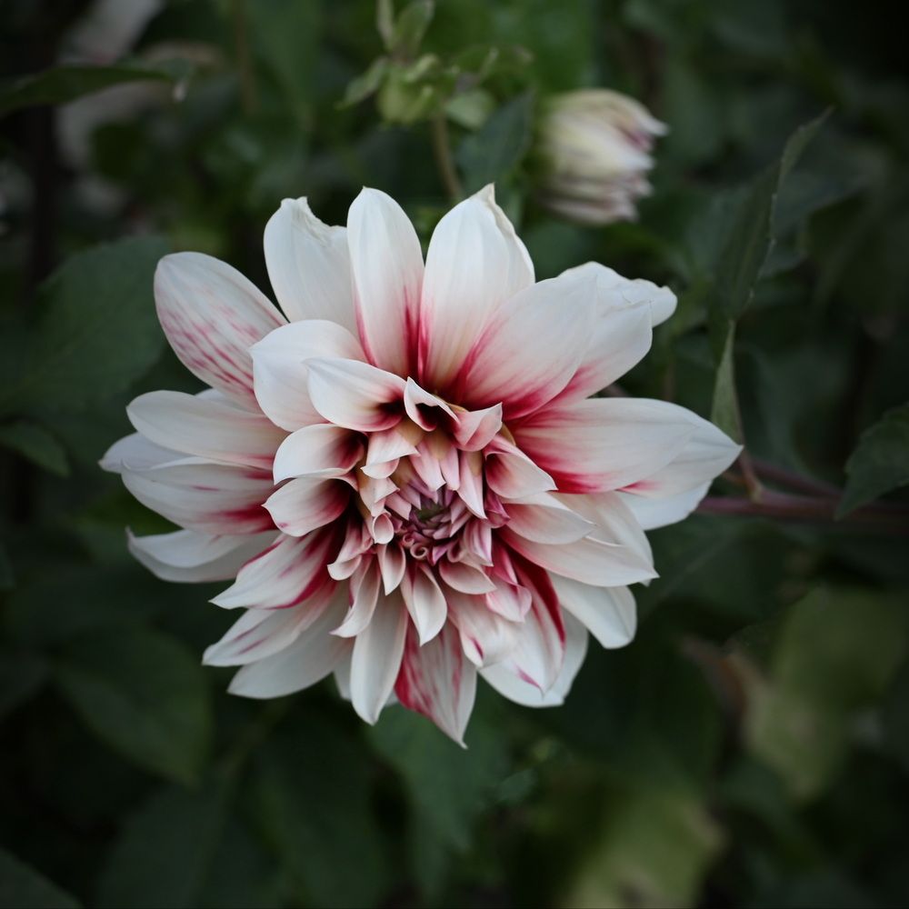 Photograph by Анатолий Пермяков