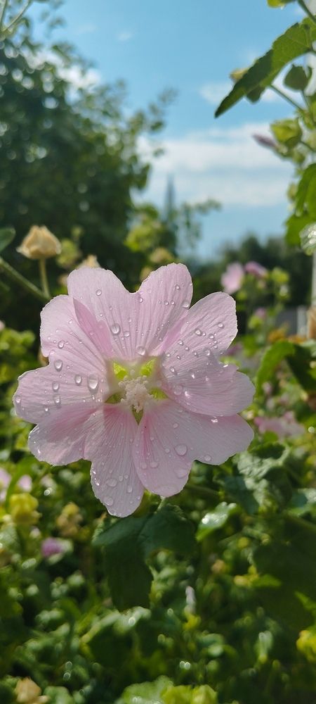 Photograph by Любовь Макарова