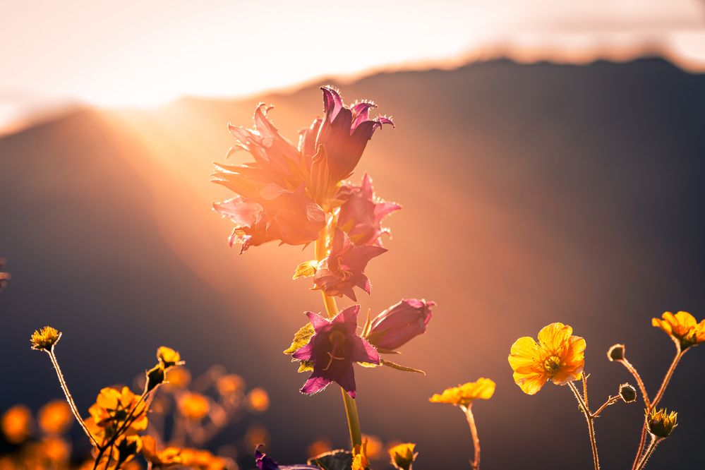 Photograph by Дмитрий Грошиков