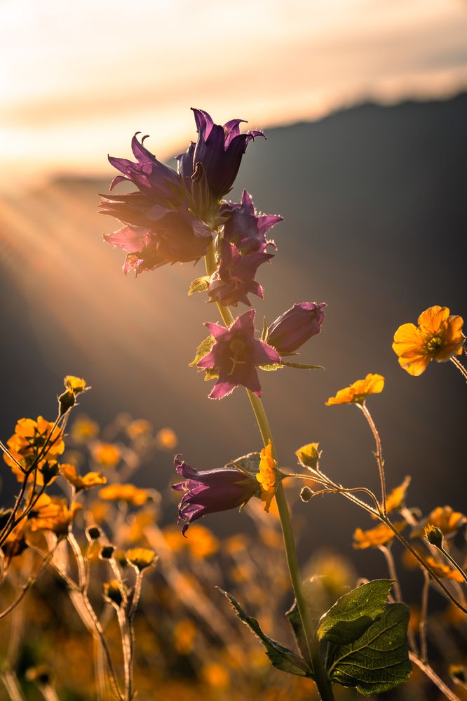 Photograph by Дмитрий Грошиков