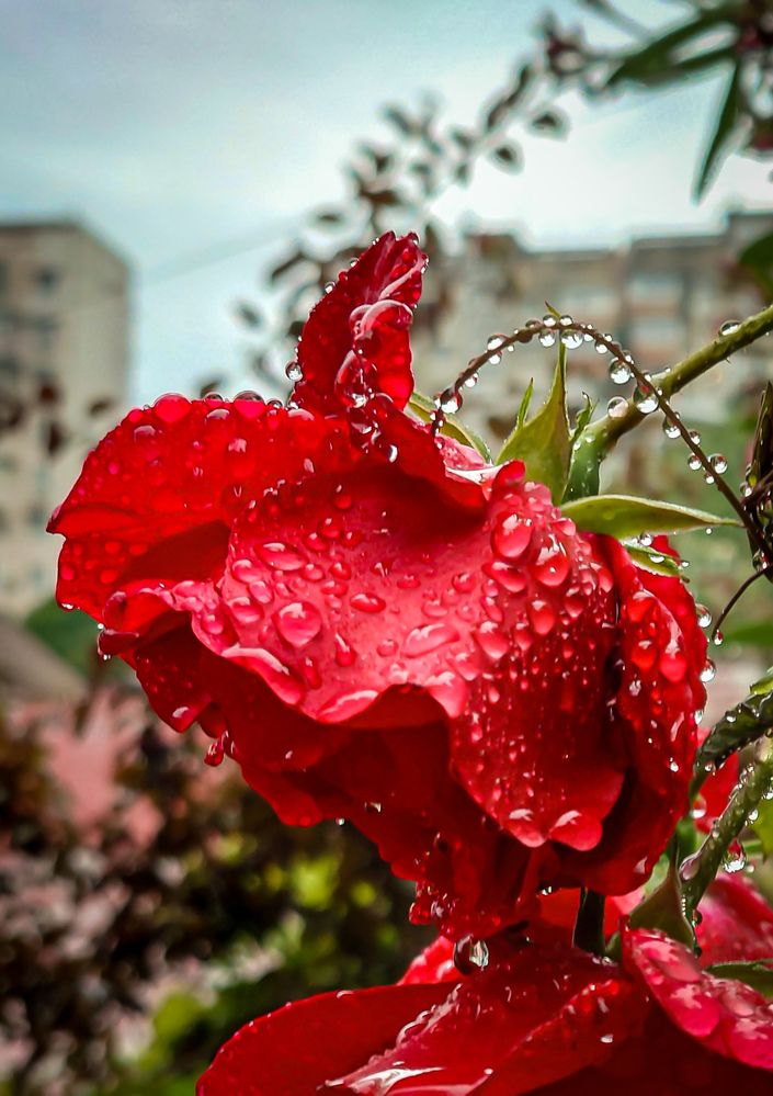 Photograph by Дмитрий Грошиков