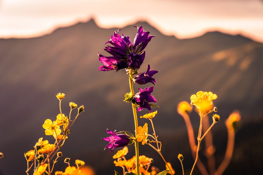 Photograph by Дмитрий Грошиков