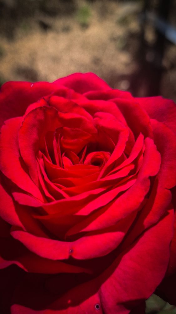 Photograph by Татьяна Кириллова