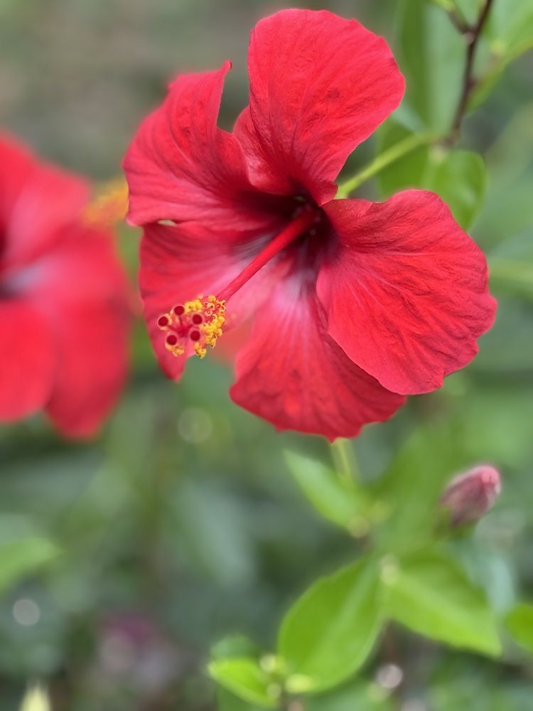 Photograph by Наталья Арнаутова