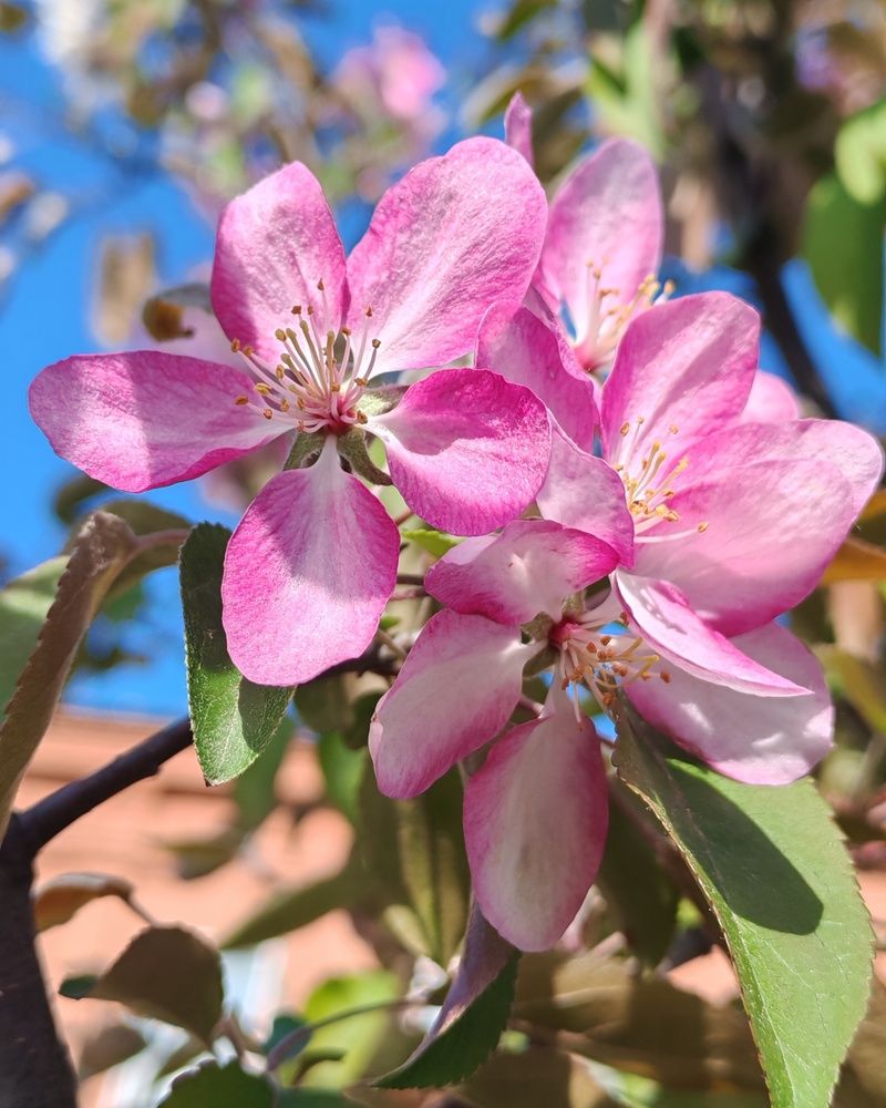 Photograph by Альбина Майкова
