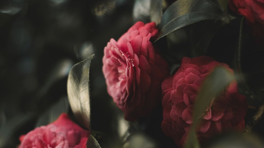 Photograph by Vadzim Darafei