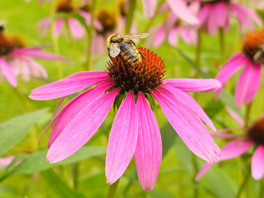 Фотография автора Maria Yakovleva