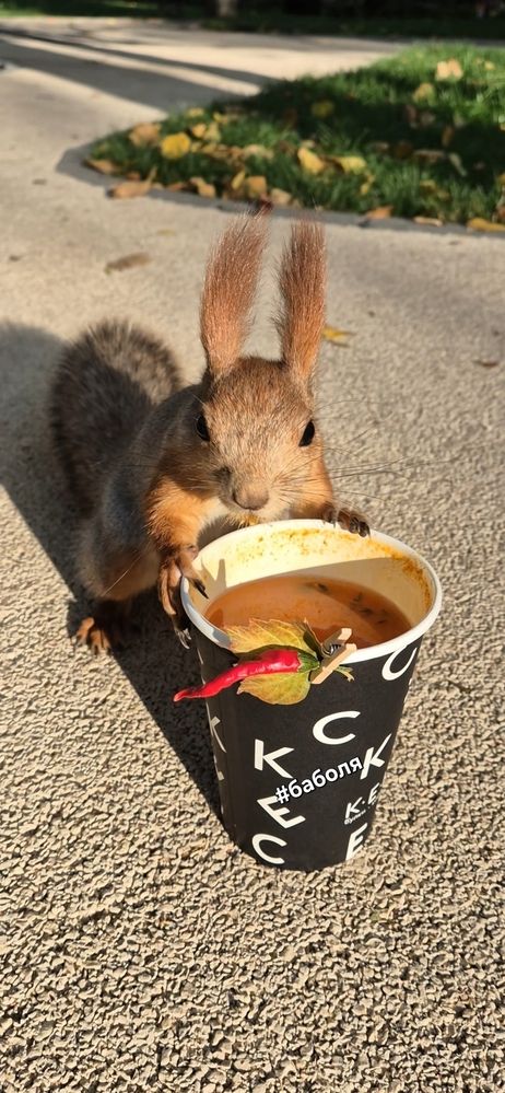 Фотография автора Ольга Мусина