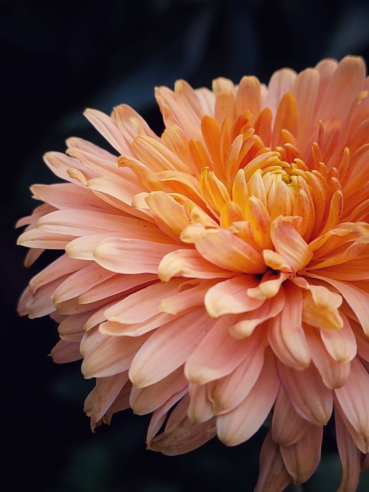 Фотография автора Наталья Низовцева