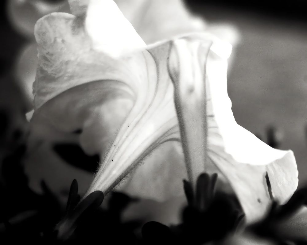 Photograph by Katja