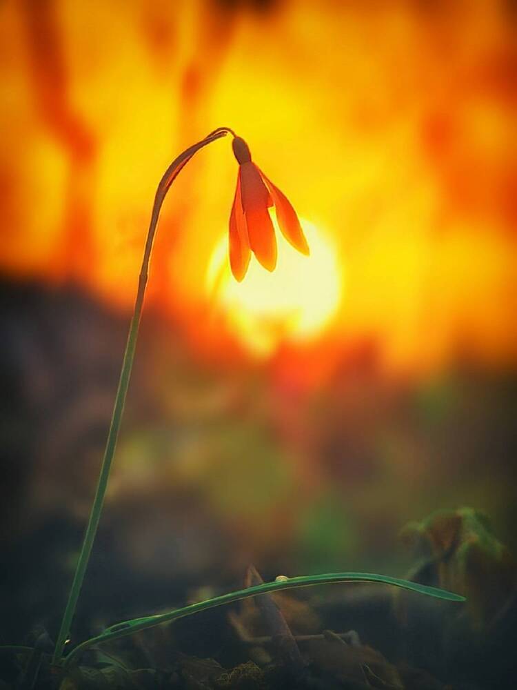 Photograph by Владимир