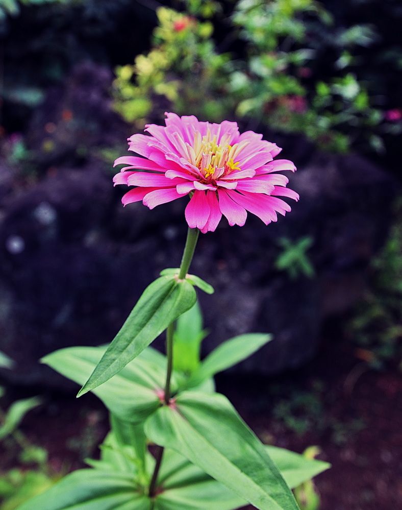 Фотография автора АЛЕКСАНДР ЦЫГЕЛЬНЮК