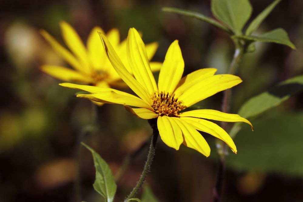 Photograph by Pavel Gukov