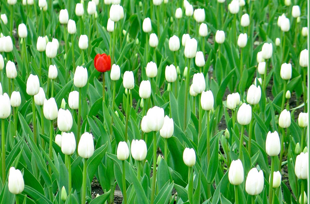 Photograph by Pavel Gukov