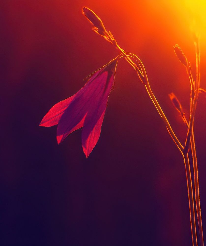 Photograph by Владимир