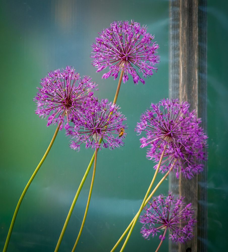 Photograph by Agita Leimane