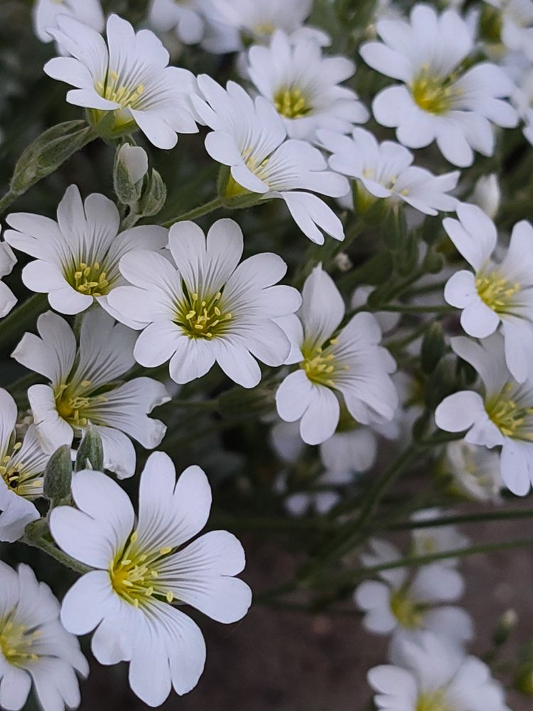 Фотография автора Наталья Низовцева