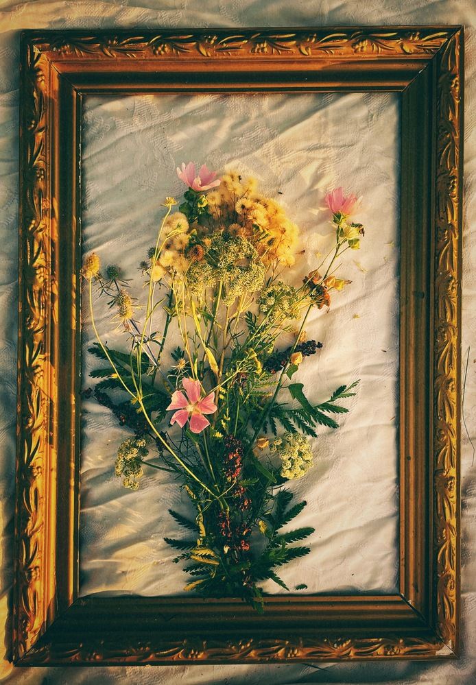 Photograph by Nadya Sterligova