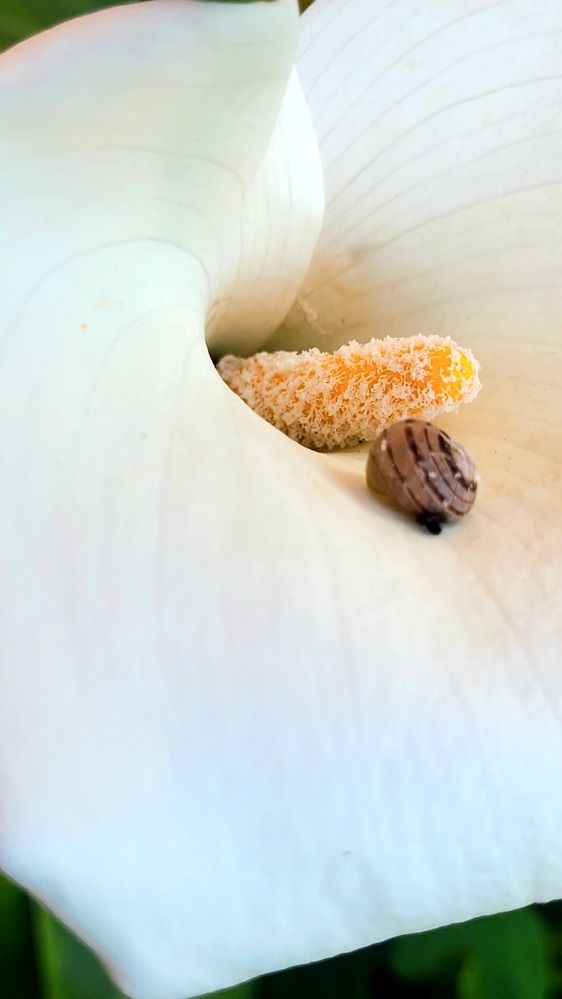 Photograph by claudia