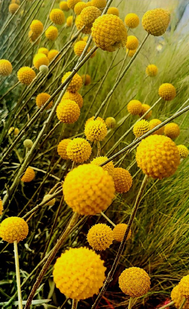 Photograph by claudia