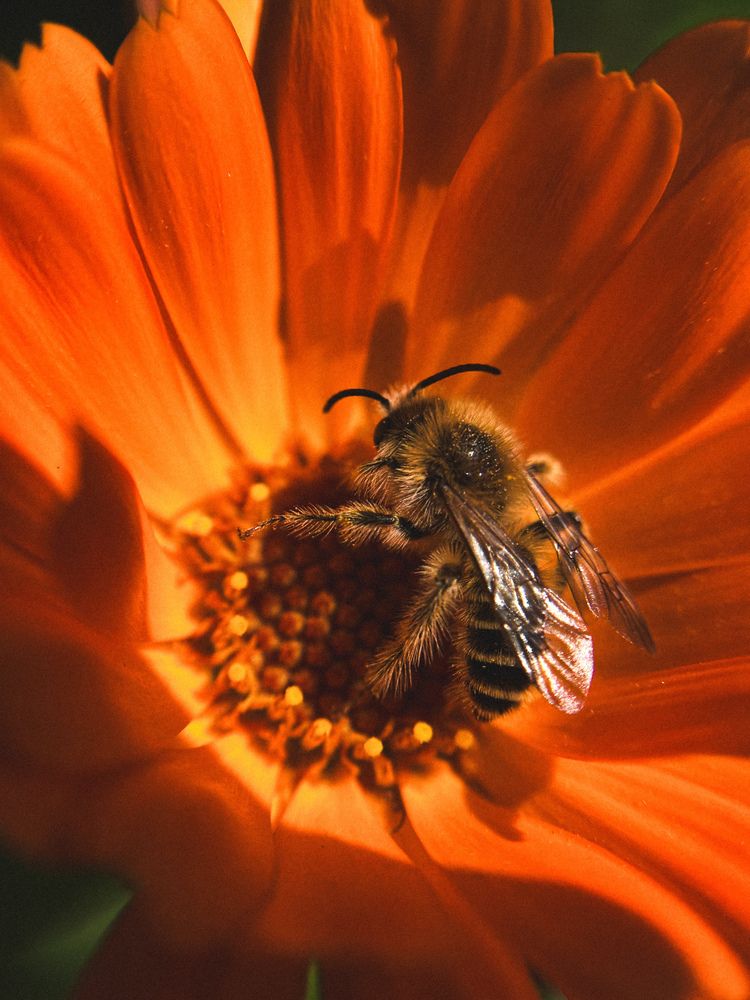 Фотография автора Анастасия