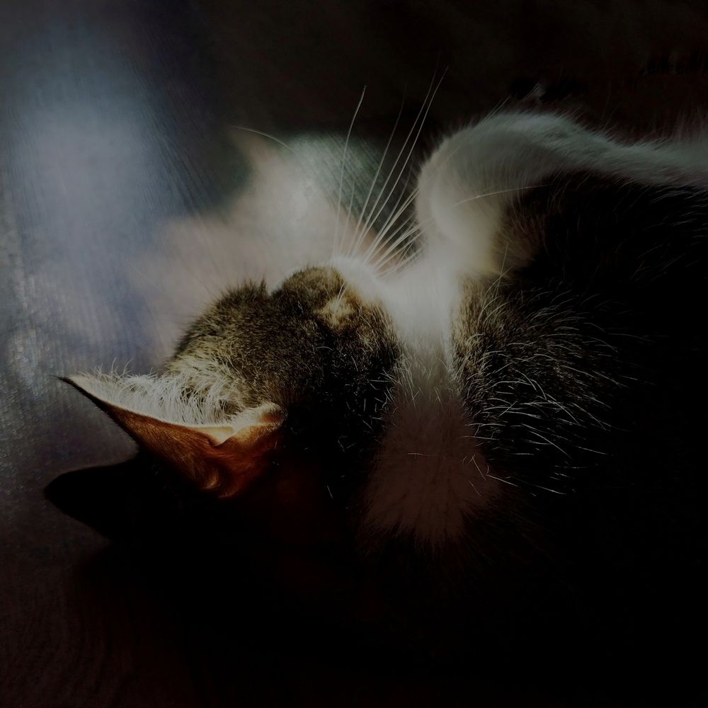 Мобильная фотография.  Нарушая реальность.