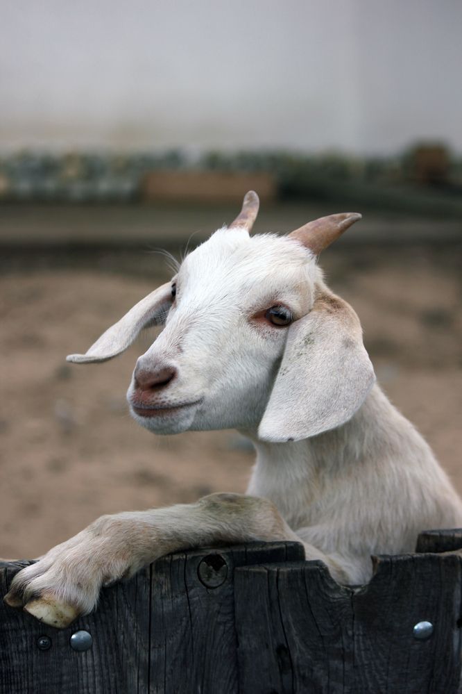 Photograph by Татьяна Сычёва