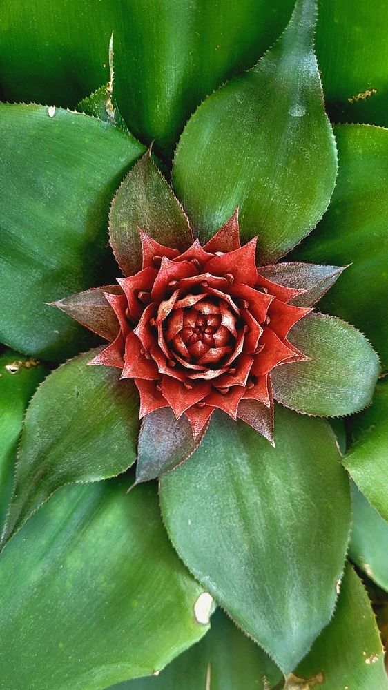 Photograph by claudia