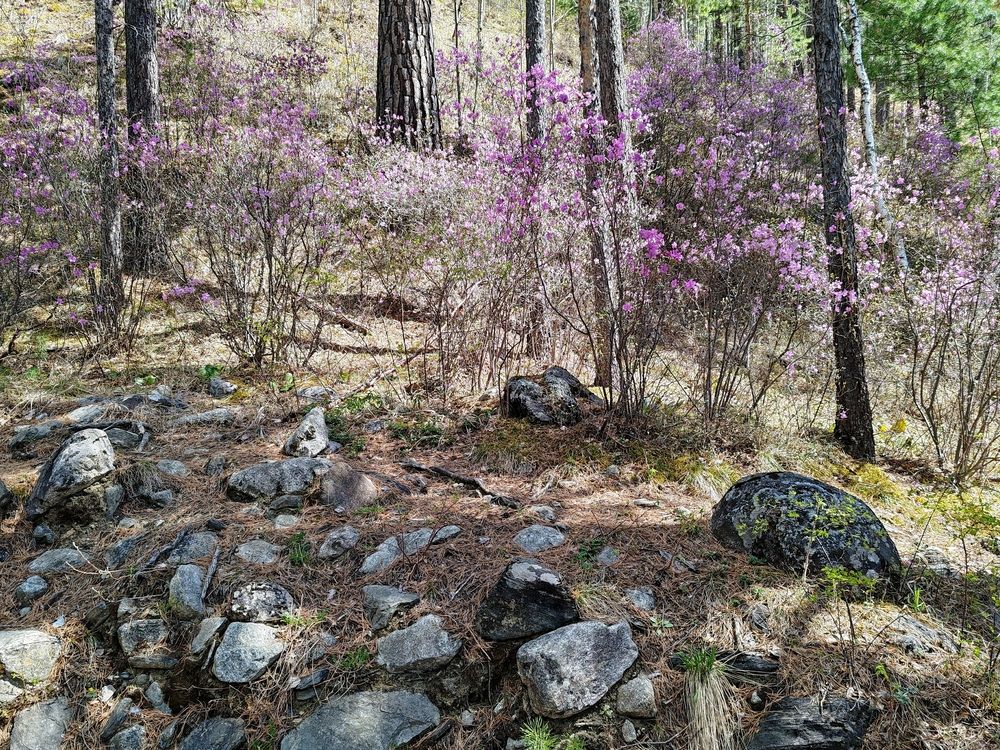 Photograph by Алёна Гильмуллина