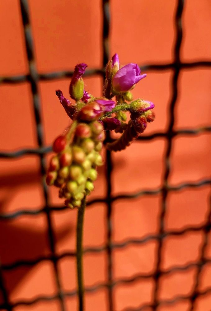 Photograph by claudia