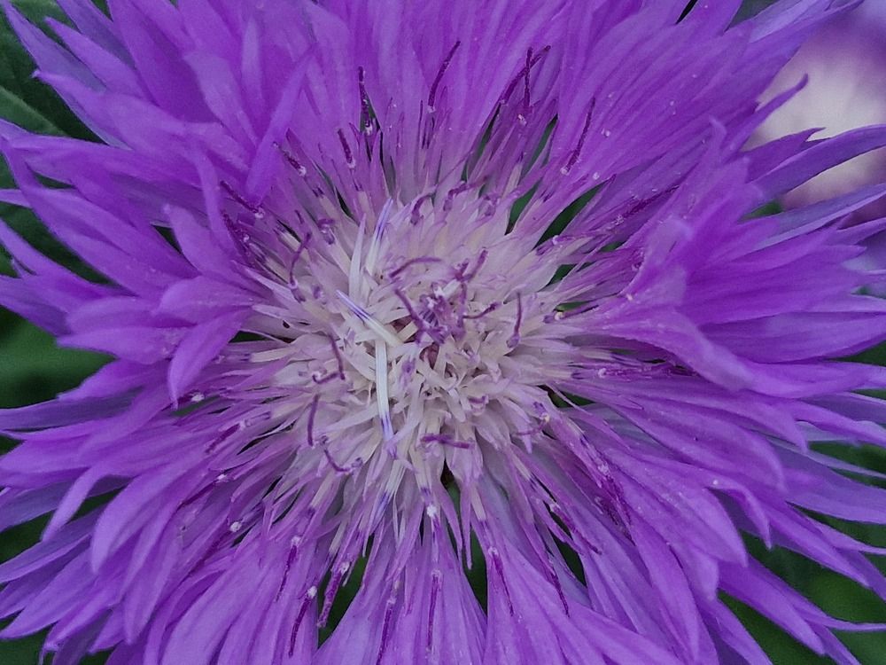 Фотография автора Анастасия Чекалина