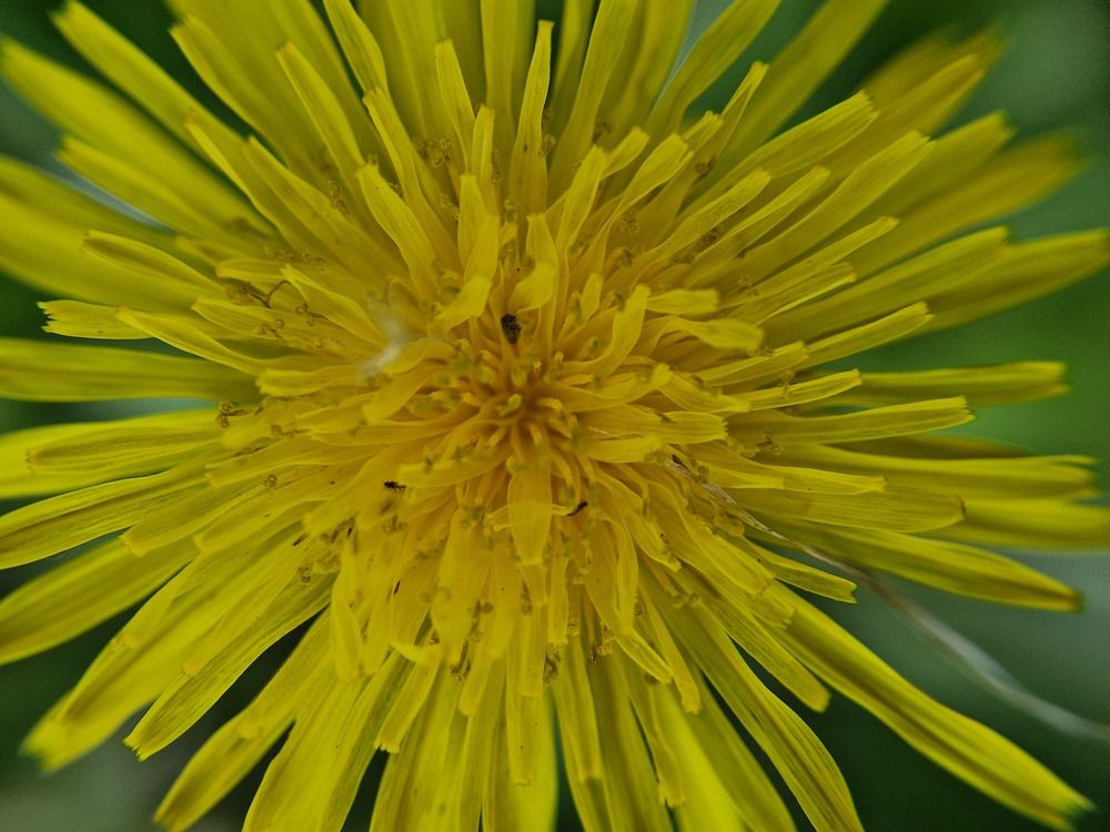 Фотография автора Анастасия Чекалина