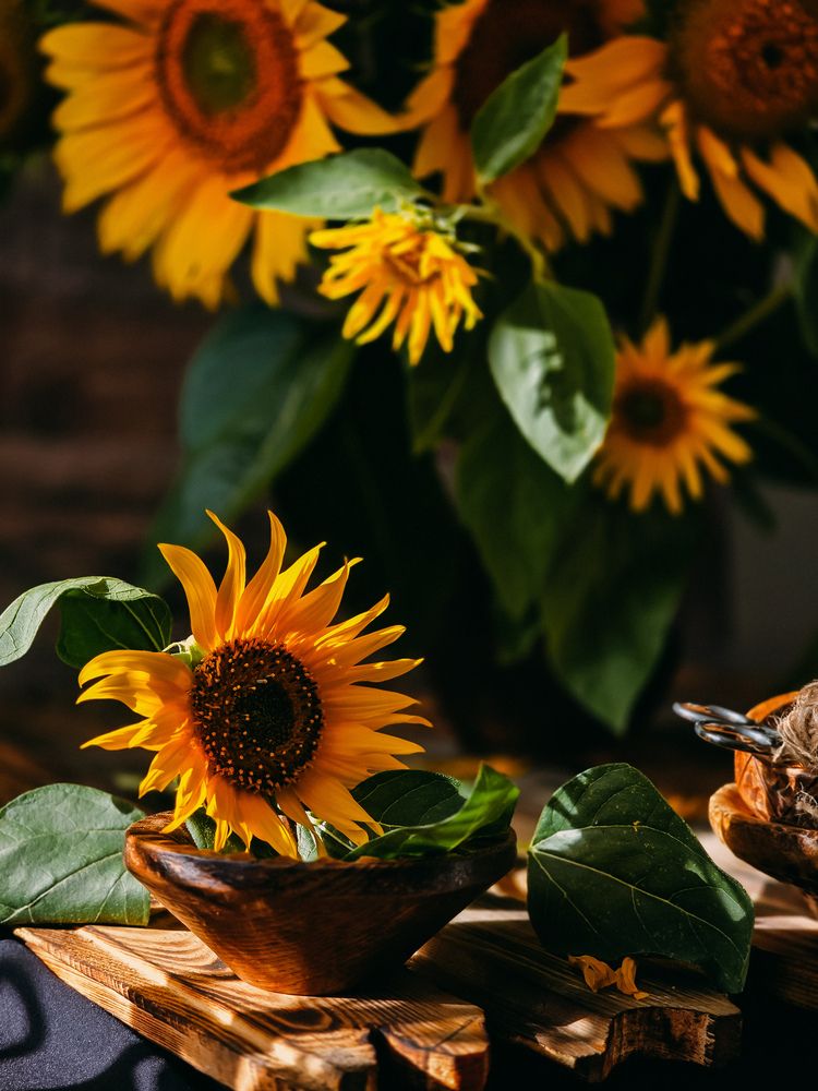 Photograph by Татьяна Гуцанович