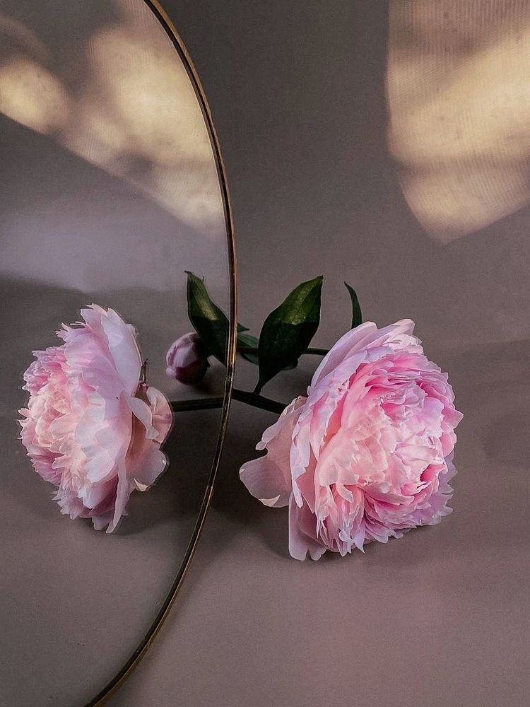 Photograph by Анастасия Гульванюк