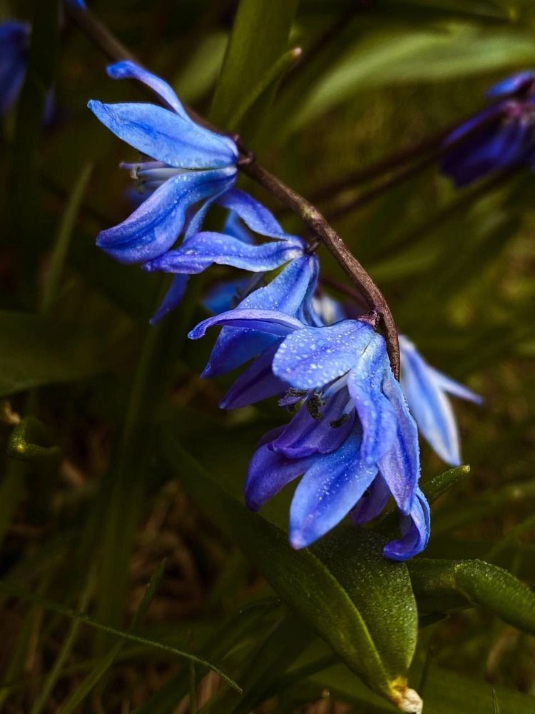 Photograph by Анастасия Гульванюк